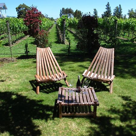 Villa in the Vines Martinborough Esterno foto