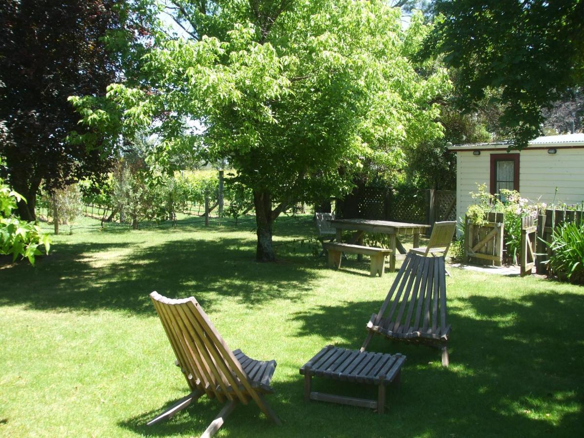 Villa in the Vines Martinborough Esterno foto