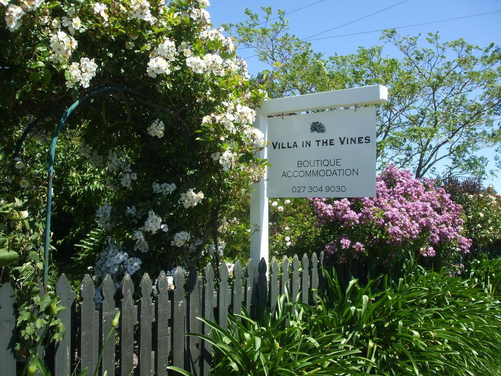Villa in the Vines Martinborough Esterno foto