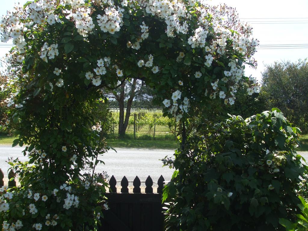 Villa in the Vines Martinborough Esterno foto