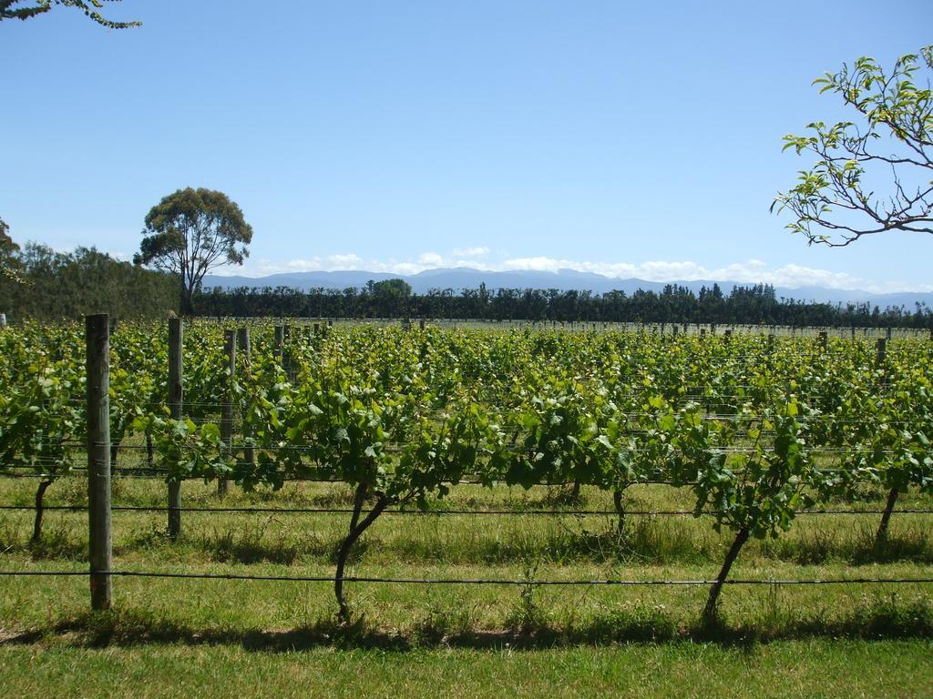 Villa in the Vines Martinborough Esterno foto