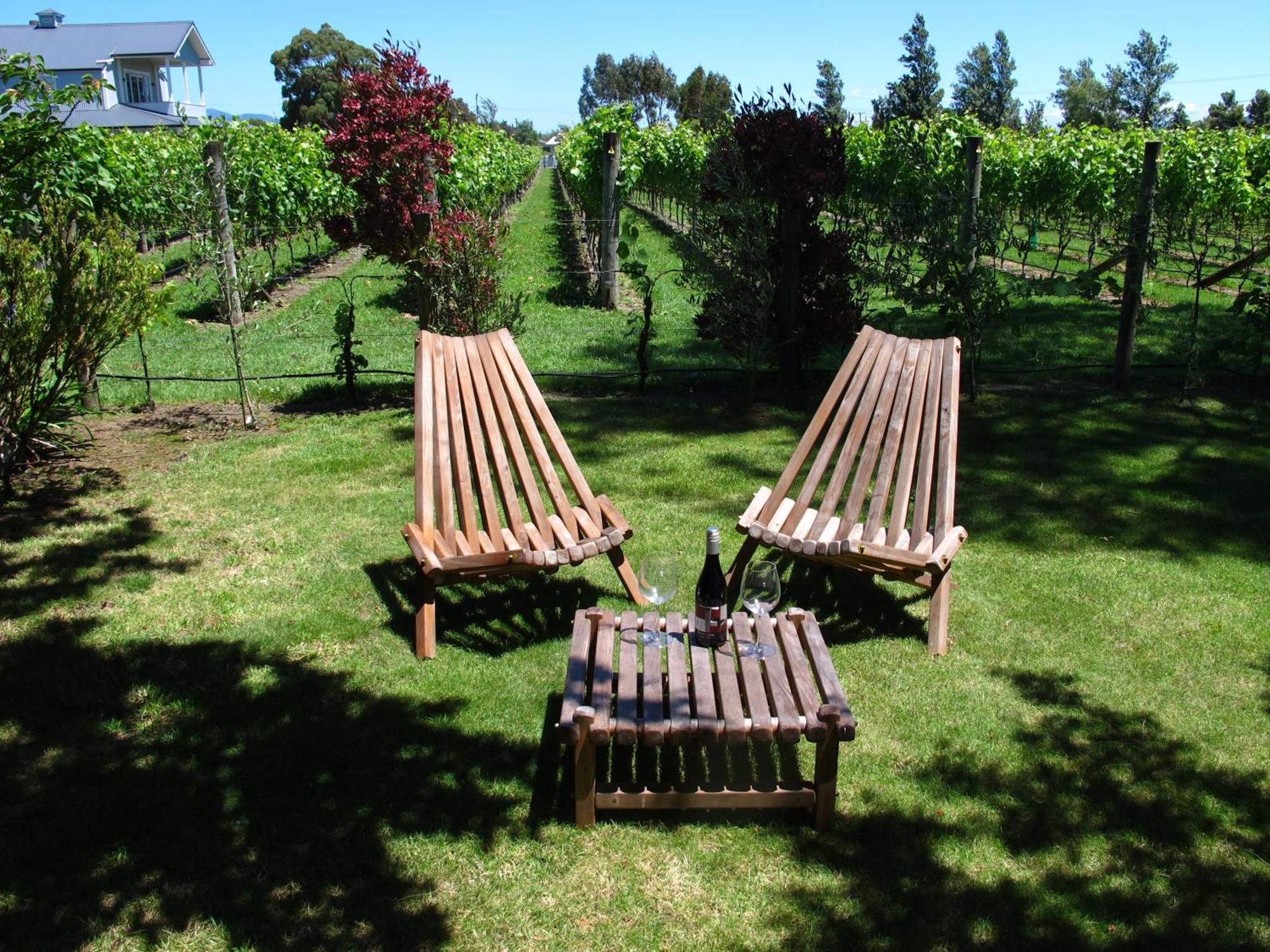 Villa in the Vines Martinborough Esterno foto